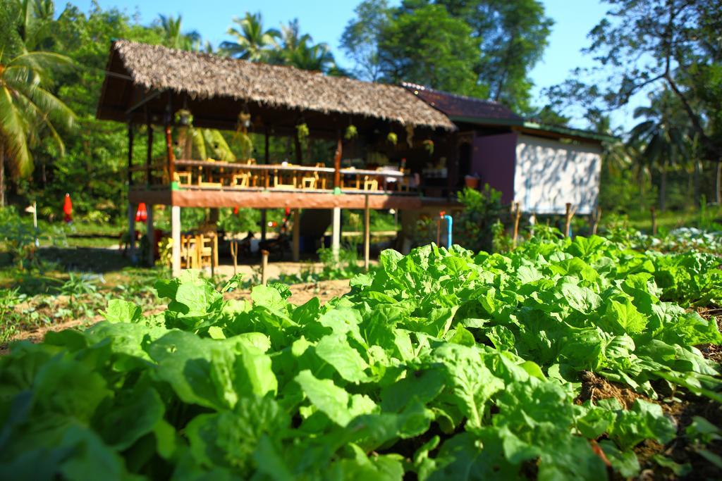 Phayam Garden View Hotel Koh Phayam Buitenkant foto